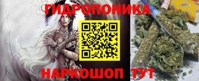 крисы Белореченск